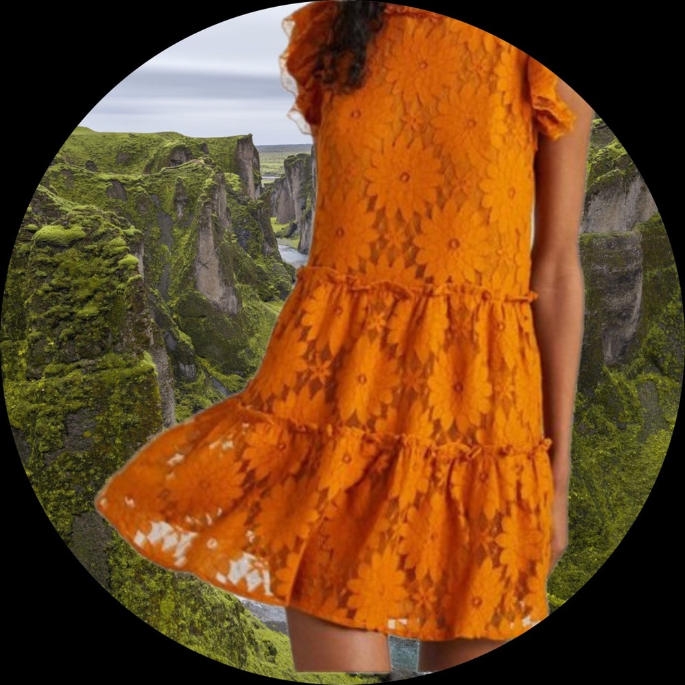☀️New With Tags Anthropologie Dress